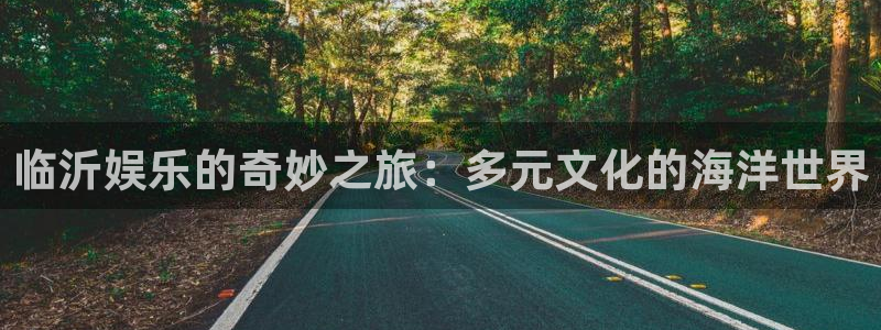 意昂2平台：临沂娱乐的奇妙之旅：多元文化的海洋世界