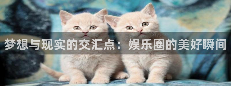 意昂2平台：梦想与现实的交汇点：娱乐圈的美好瞬间