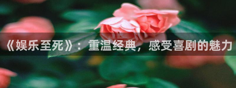 意昂2登录入口：《娱乐至死》：重温经典，感受喜剧的魅力