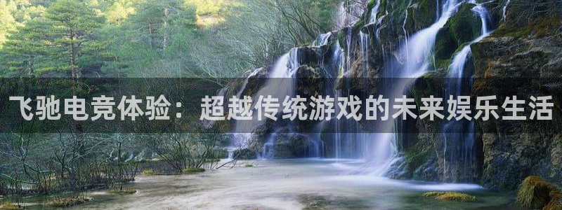 意昂2官网：飞驰电竞体验：超越传统游戏的未来娱乐生活